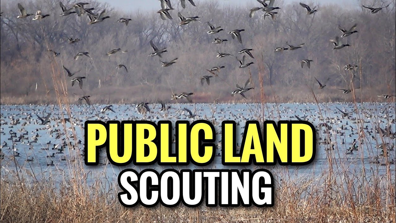 How To FIND Ducks on Public Land