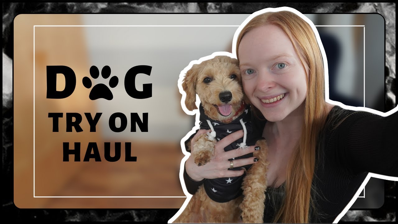 Trying DOG CLOTHES from SHEIN | Try On Haul