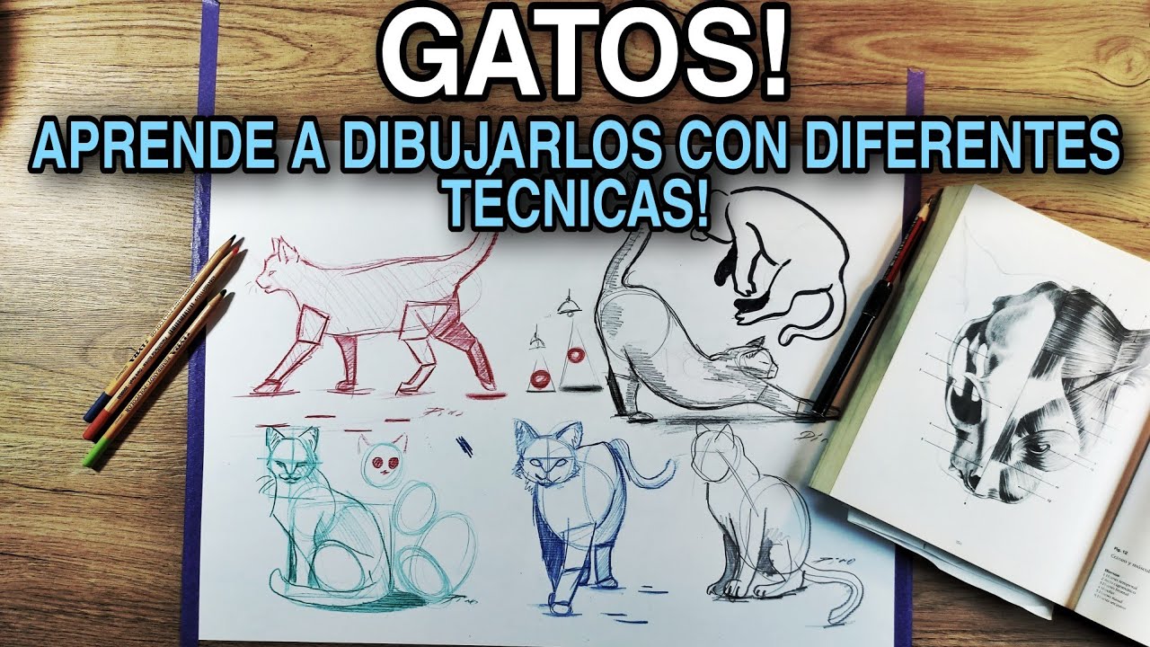 CÓMO DIBUJAR y BOCETEAR GATOS CON DIFERENTES TÉCNICAS? [Narrado]