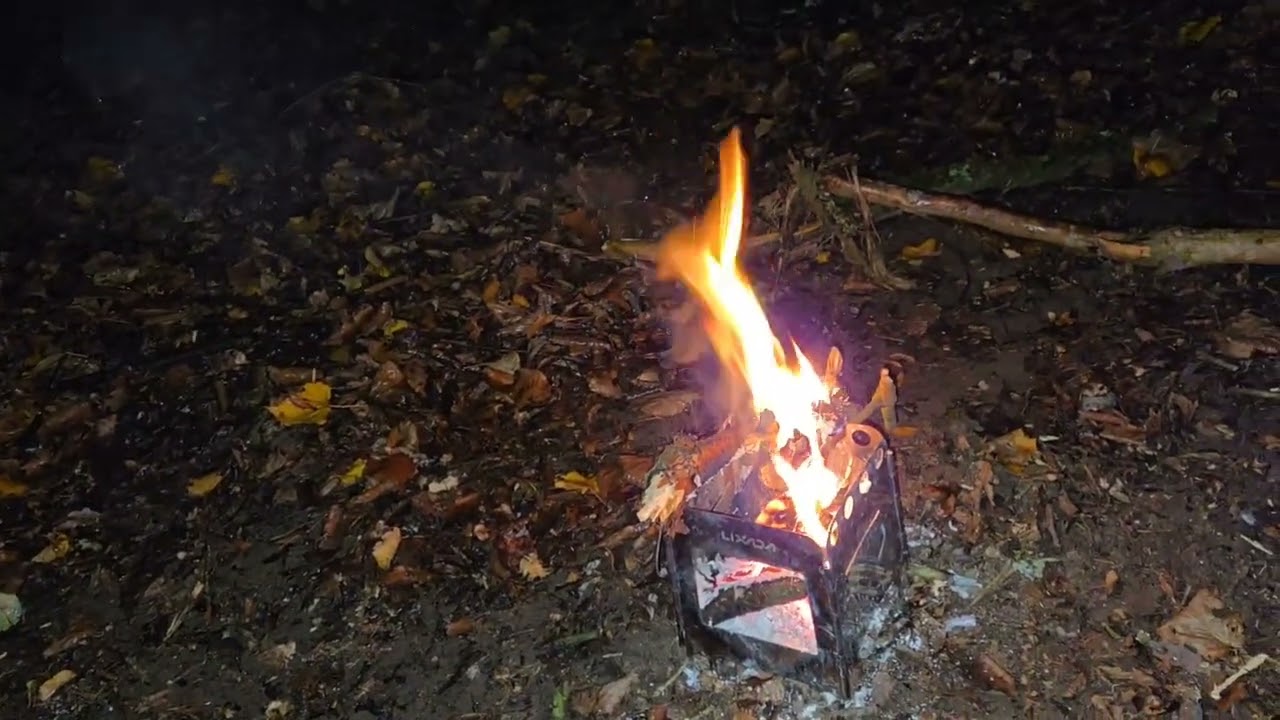 Wild camp fire box frightening finds
