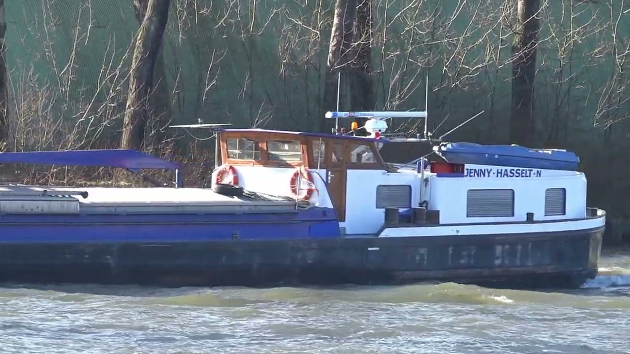 ⚓️'JENNY' spits van 1965 uit Hasselt (NL), 02314700, gespot 04 02 2026