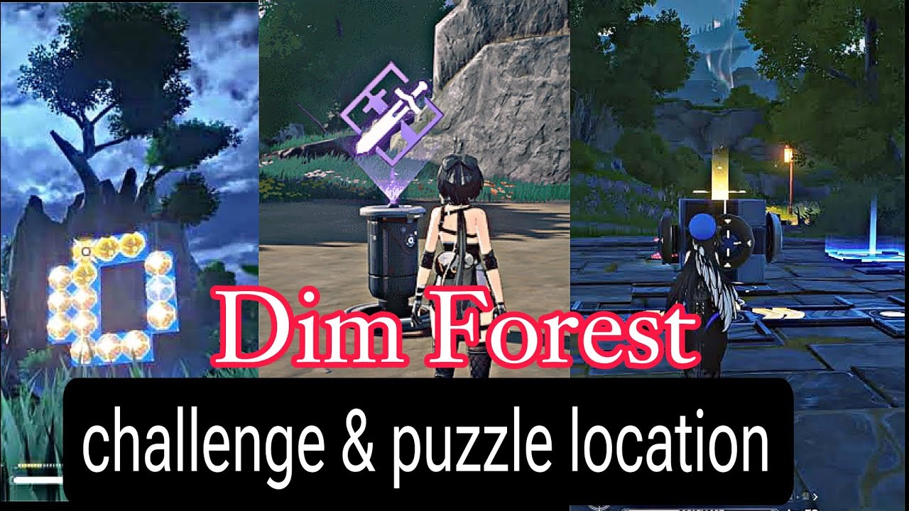 all Challenge Puzzle Dim Forest Wuthering Waves