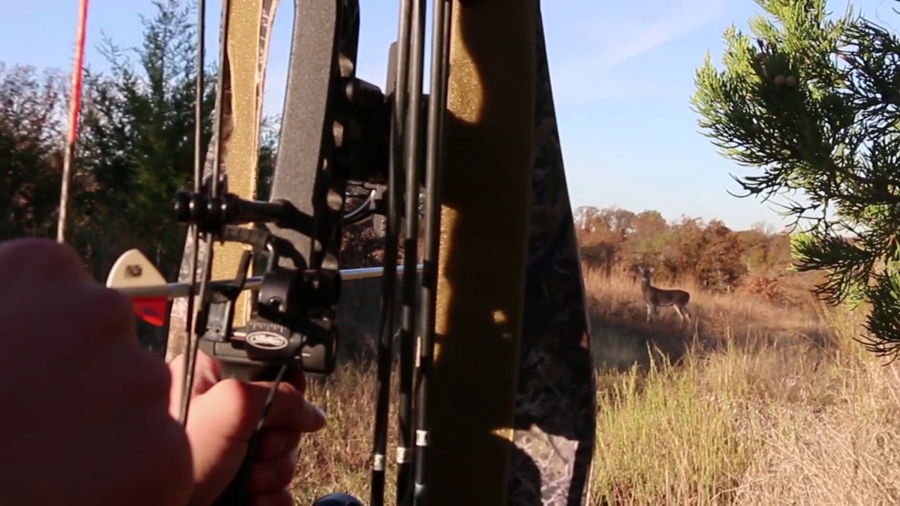 Stalking Whitetail With an Stalker Decoy by Ultimate Predator