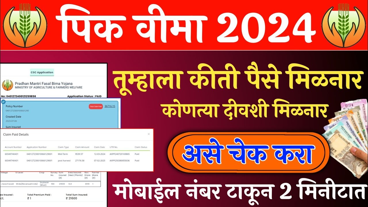 तूम्हाला पिक विमा कीती व कीती तारखेला मिळनार पहा | Pik vima 2024 | Pik vima 2024 new update