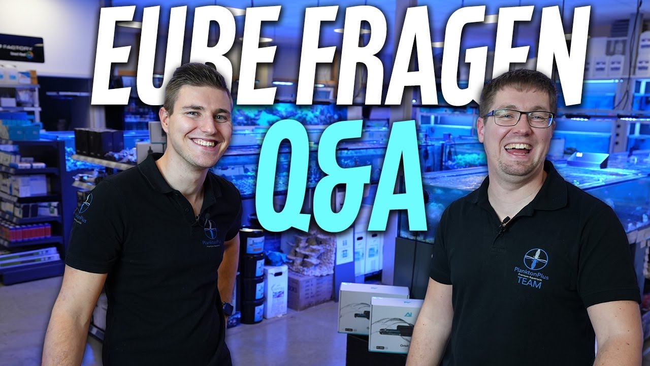 Eure Fragen - MEERWASSERAQUARISTIK - Q&A mit Michael und Max