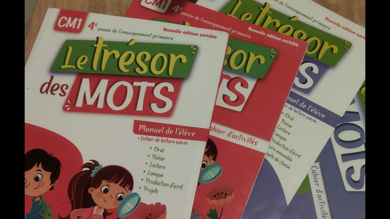 L'accord dans le groupe nominal. Le cahier d'activités CM1 page 32