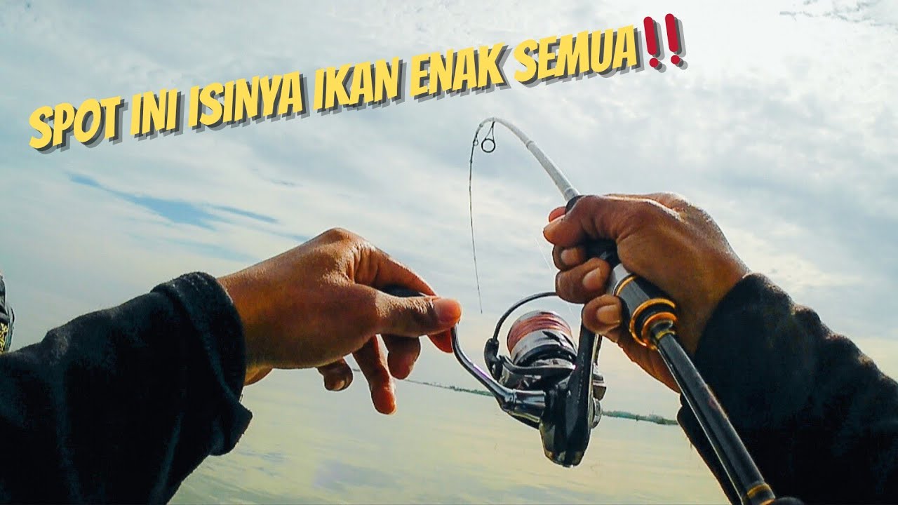 GACOR..!! Mancing di muara ini semua titik ada ikannya