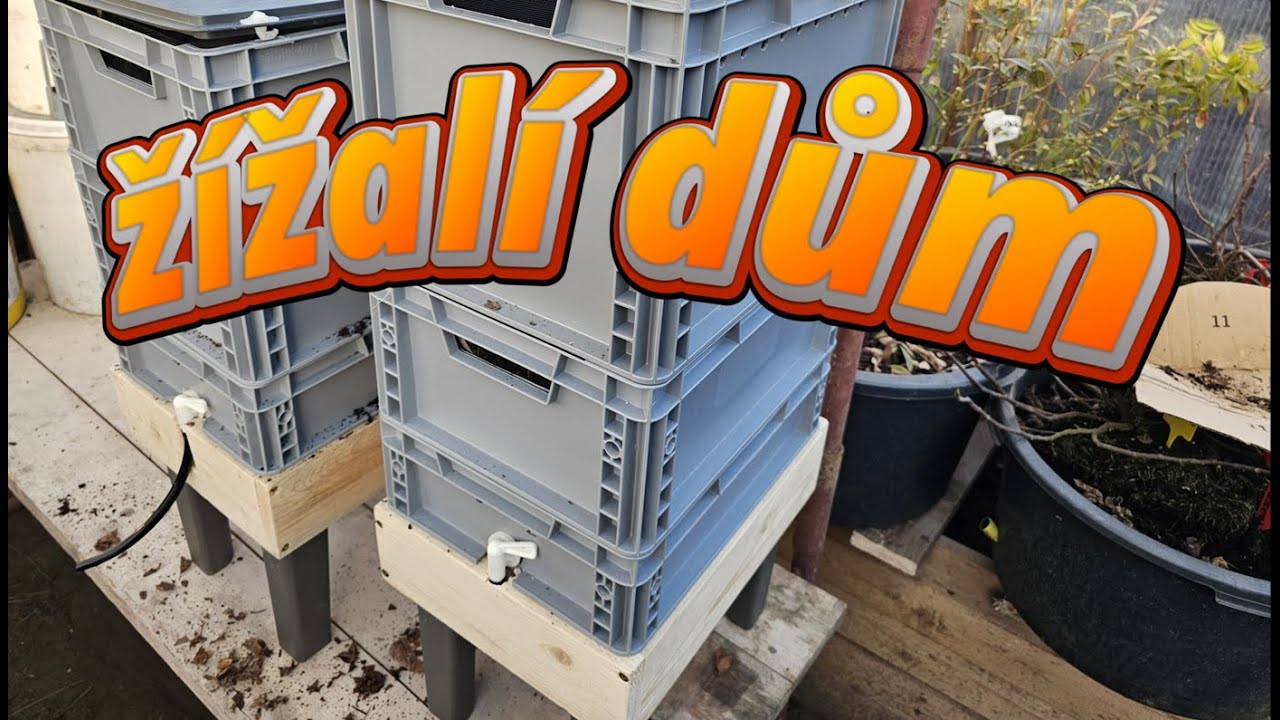 DIY Vermikompostér a Žížaly! 🪱 Nejlepší Žížalí Čaj a Hnojivo! (START) 💪