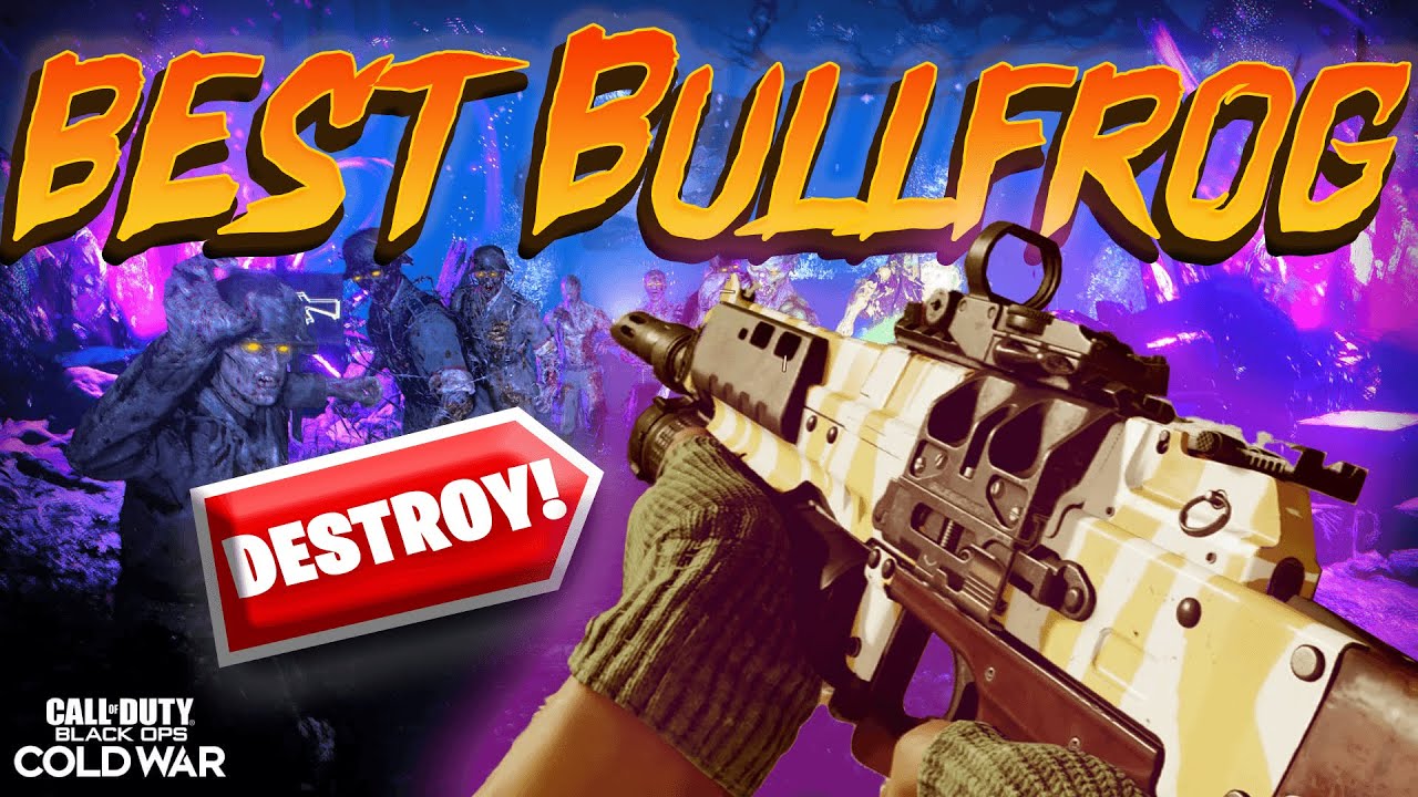 BEST Bullfrog Zombies Class Black Ops Cold War