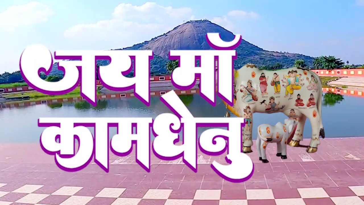 कामधेनु मंदिर मंदार | Mandarhill | Mandar parvat | Safadharm | Banka Tourism