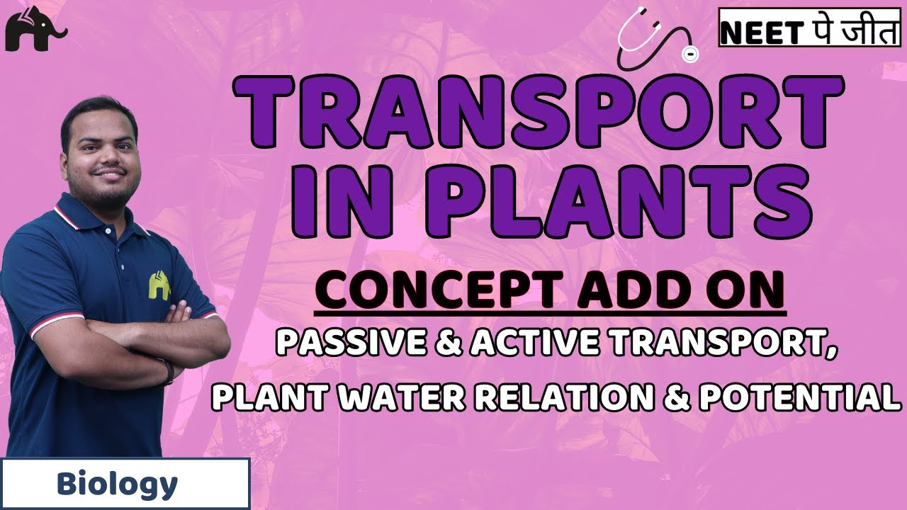 Transport in Plants Class 11 Biology NEET | Passive active transport, Plant water relation potential
