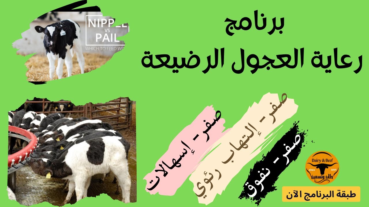 برنامج ,تحصينات العجول الرضيعة ضد الامراض المعدية، الاسهال والالتهابات الرئوية في العجول الرضيعه,