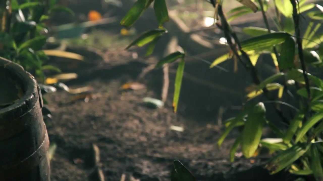 The Making Of Risen 2 -- Episode 4 -- The Music [North America]