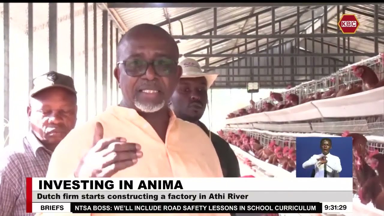 Dutch firm starts constructing an animal feeds factory in Athi River