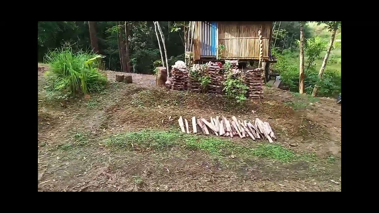 Membersihkan kebun durian (lanjutan)