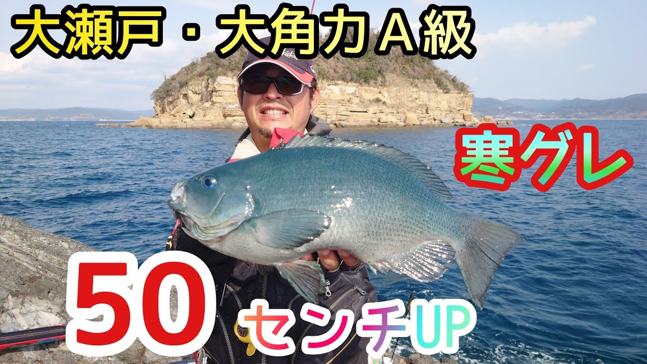 寒グレハイシーズン・大角力Ａ級で大漁❗マジカグレ❗磯グレ❗