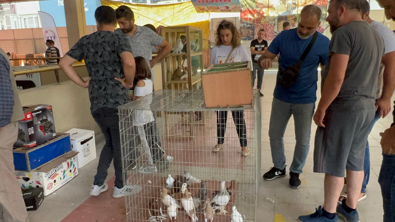 KEMALPAŞA GÜVERCİN FESTİVALİ