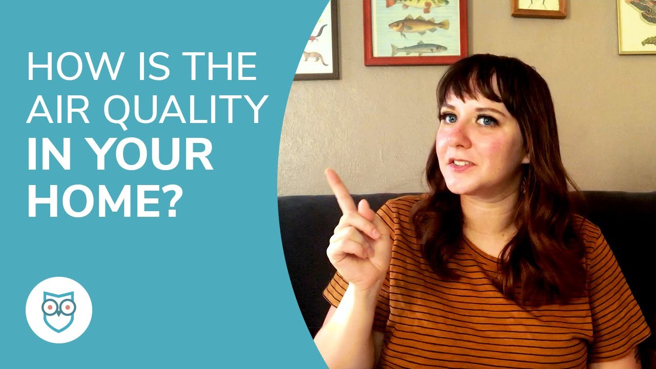 Indoor Air Quality 101 | Understand and Improve the Air in Your Home