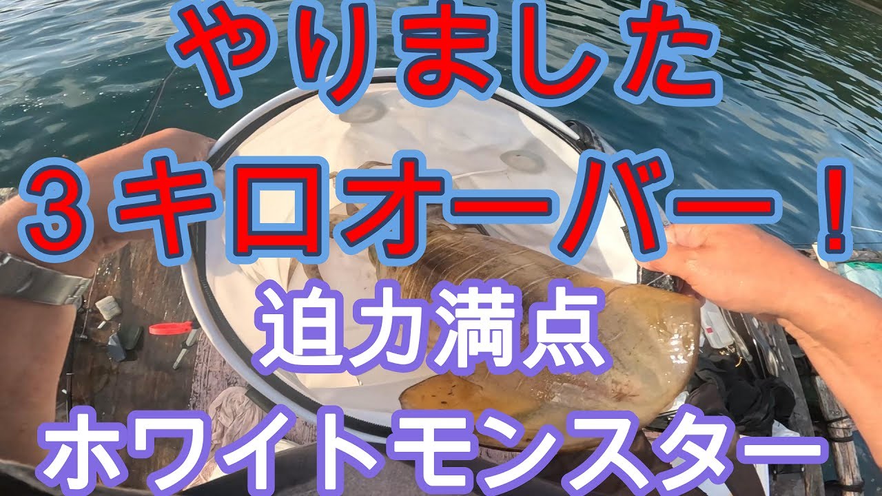 還暦元気おやじのアオリイカ釣りチャレンジ　VOL58