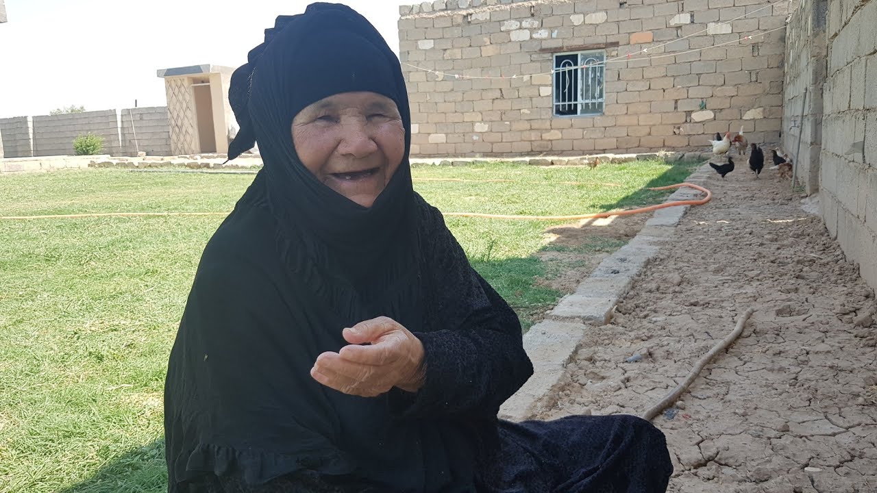 #تربية دجاج العرب للعراقية الاصيلة ام عماد