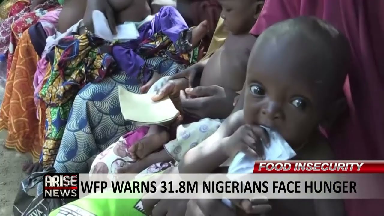 FOOD INSECURITY: WFP WARNS 31.8M NIGERIANS FACE HUNGER