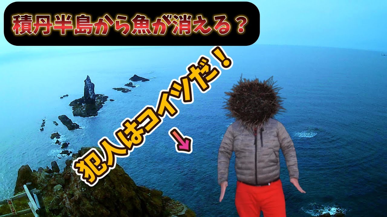 釣りにも影響が？「積丹ブルー」をもたらした海底にはびこる悪魔の物体とは？！