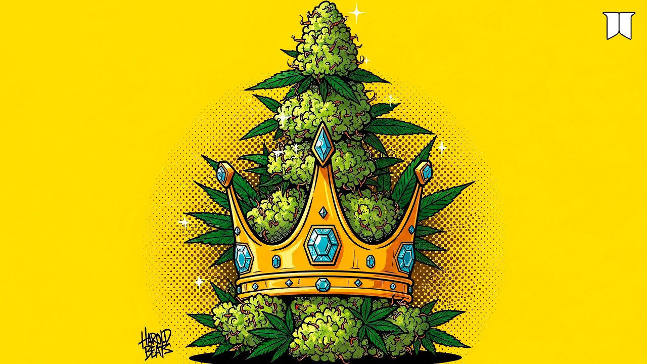 Reggae Boom Bap Type Beat | 