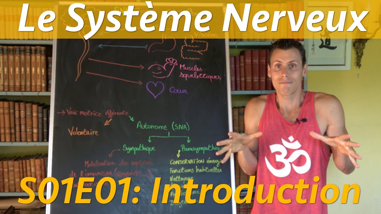 Système Nerveux: architecture - Saison 1 Épisode 01