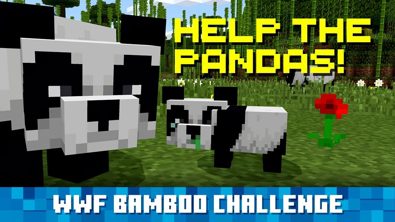 Plant Bamboo in Minecraft, Help Real-Life Pandas!