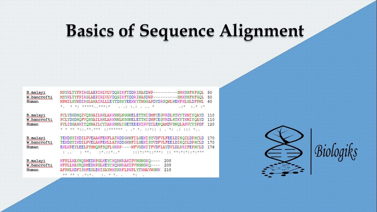 Basics of Sequence Alignment #Sequence_Alignment #Bioinformatics #DynamicProgramming
