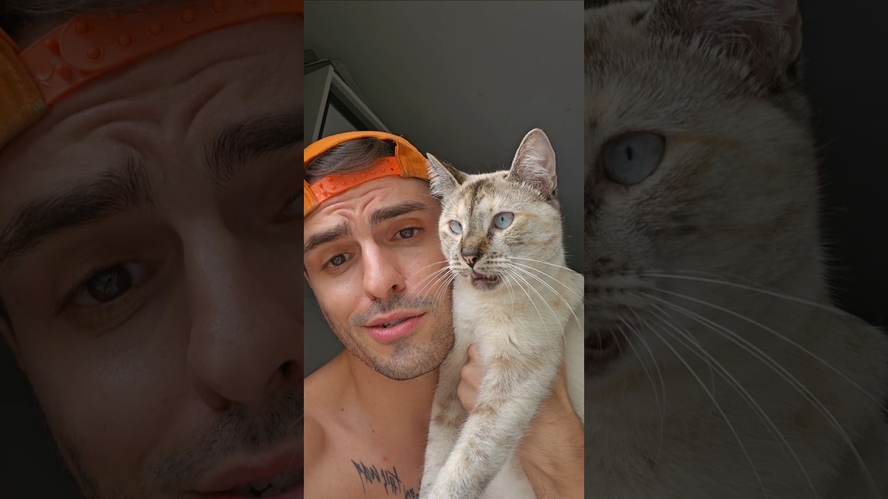 maus tratos aos animais &eacute; CRIME e os que mais sofrem preconceito dos 