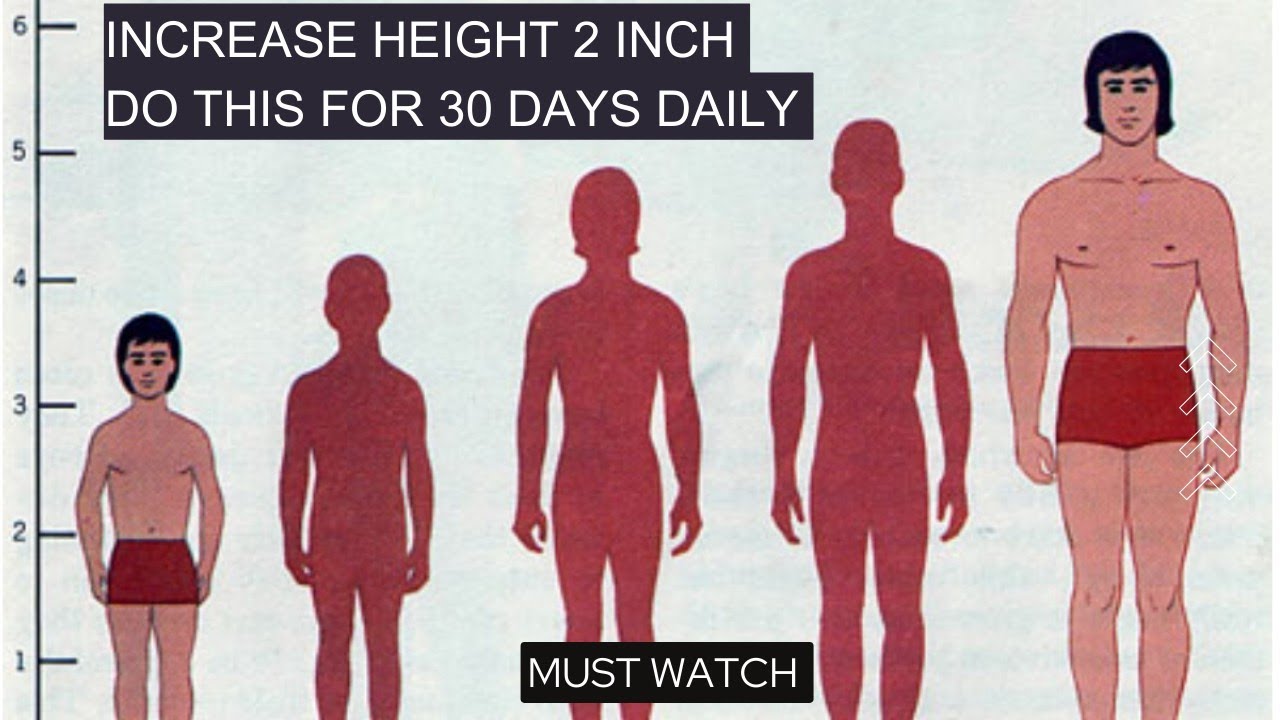 How to increase height? Here is the solution.