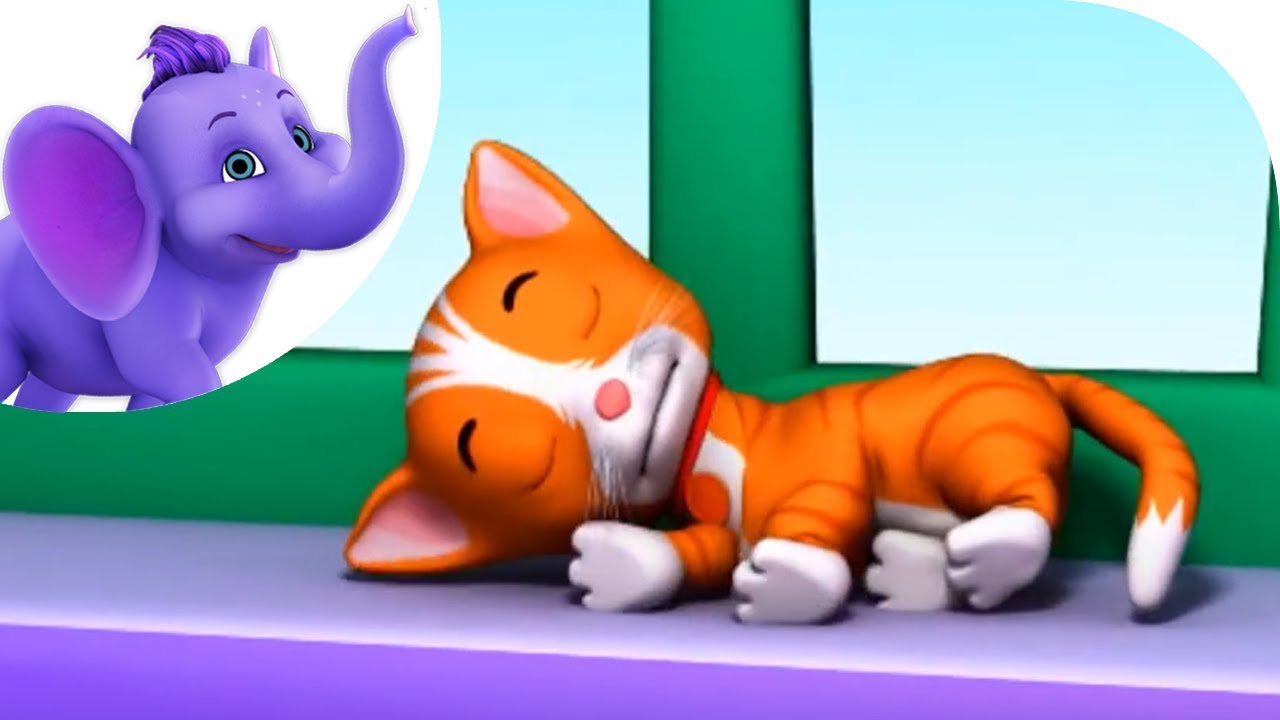 Cats Sleep Anywhere - Nursery Rhyme with Karaoke