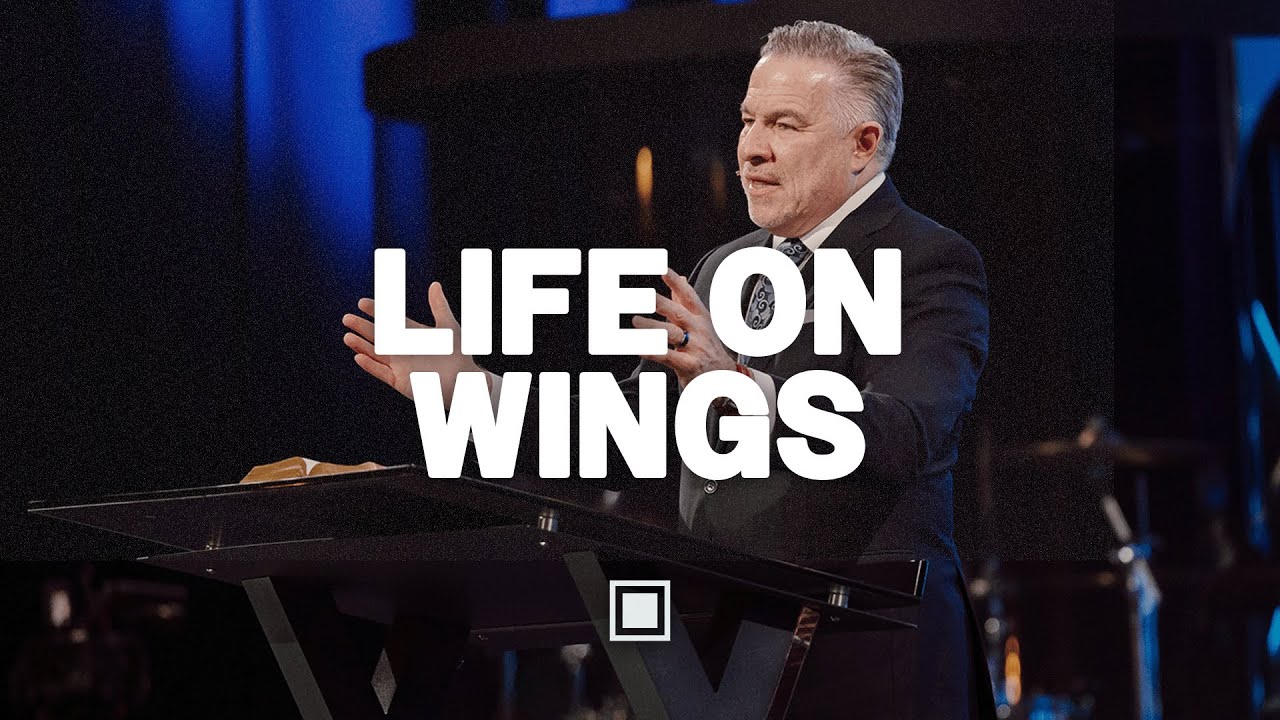 Life on Wings | Tim Dilena