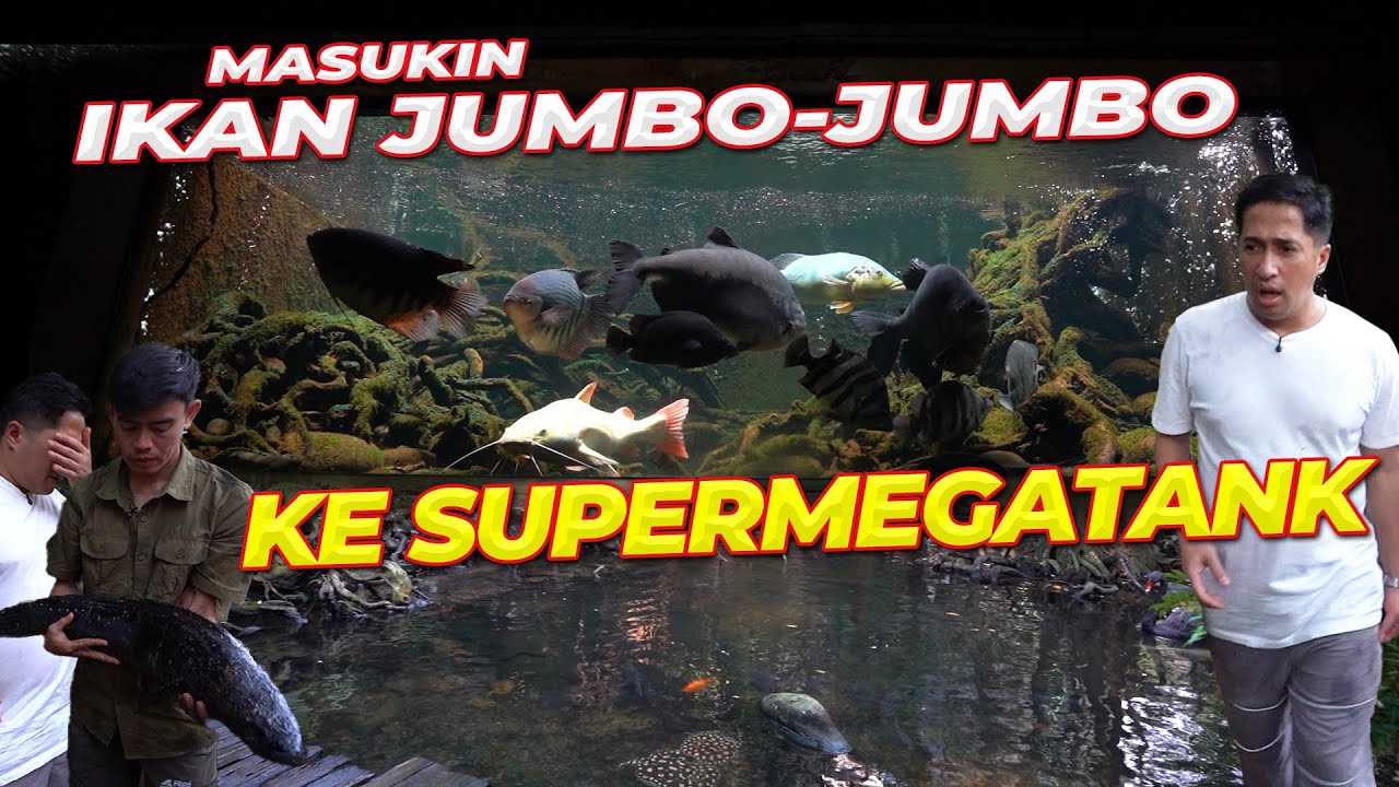 PENGHUNI BARU SUPERMEGATANK DI AKHIR TAHUN..!!