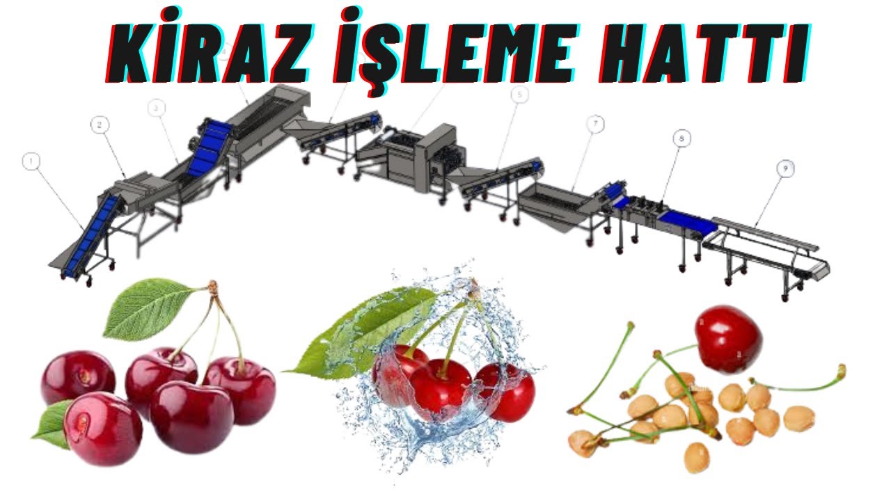 KİRAZ ÇEKİRDEK ÇIKARMA HATTI