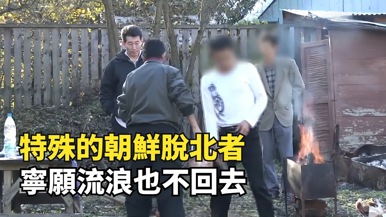 躲在俄羅斯郊區的朝鮮伐木工，他們寧願流浪也不願回國