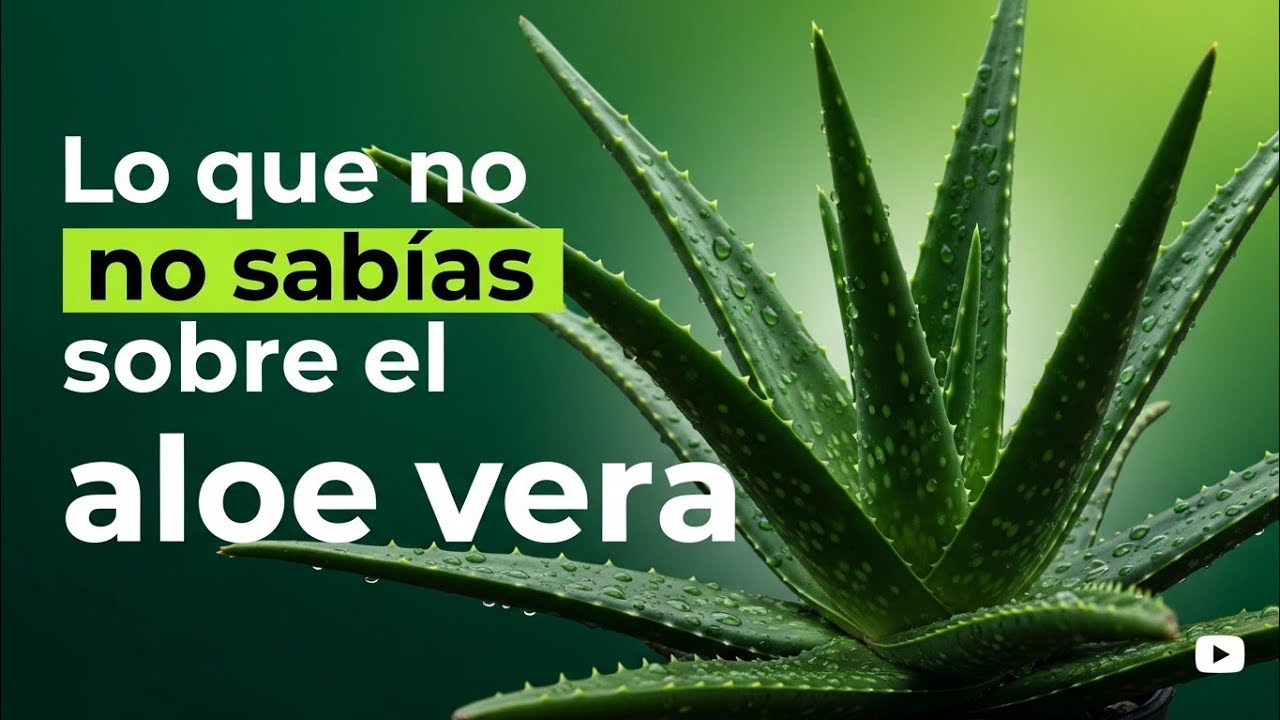Beneficios comprobados del ALOE VERA para tu salud 🌿