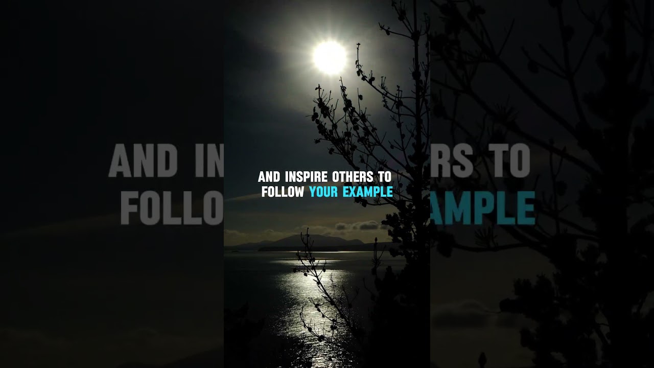 This 1 Habit Separates AMATEURS from PROS #shortsfeed #QualityOverEverything #SuccessMindset