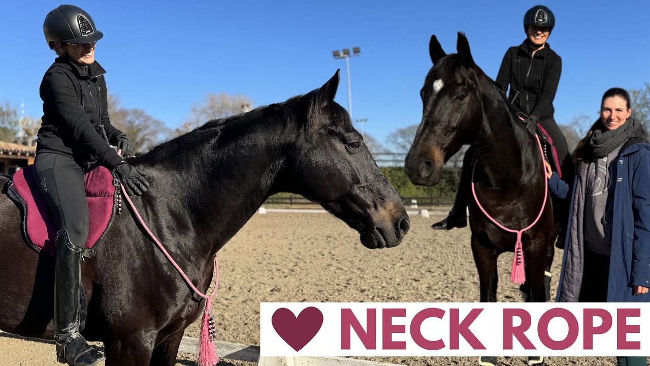 Neck Rope ✨ y Bare back!! Clase con collar! Cambiamos de pie sin brida😱 ⭐️