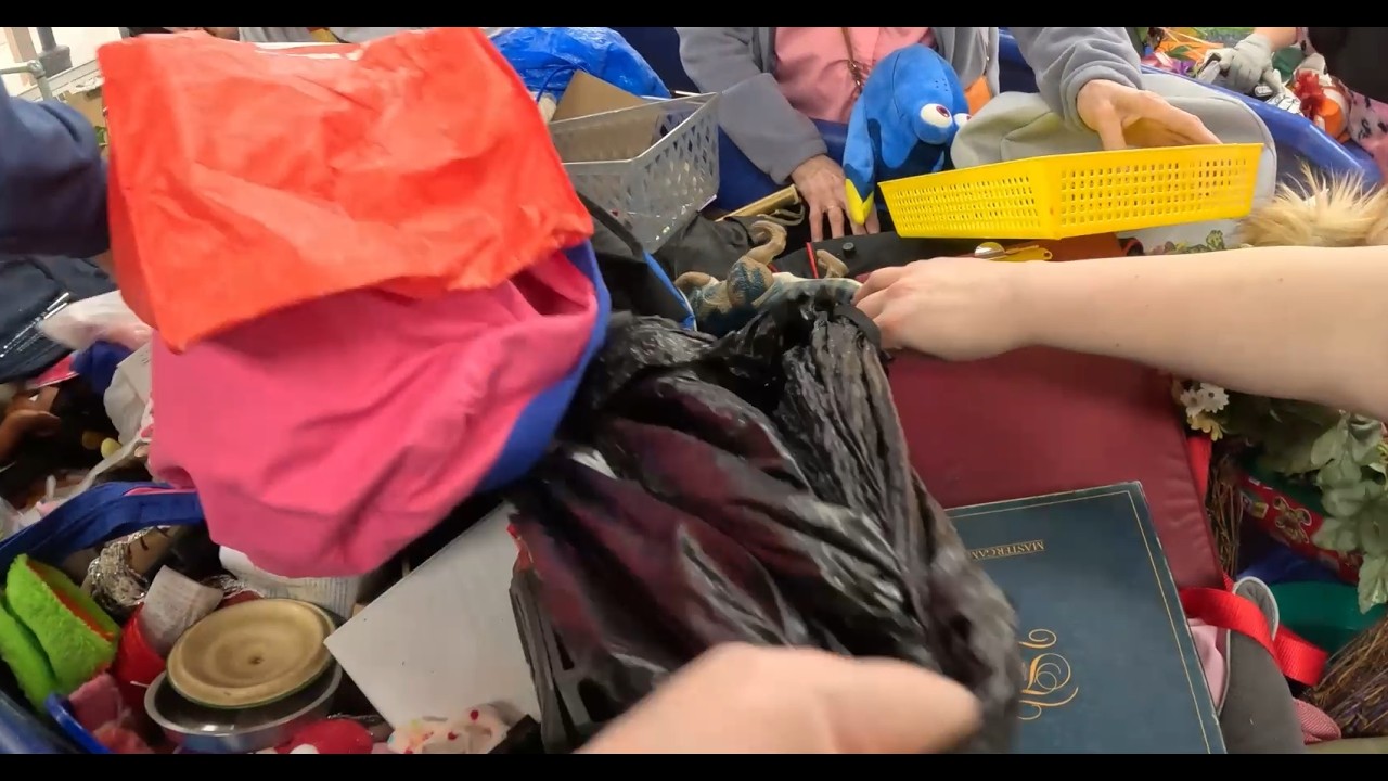 Back at the BINS | Goodwill BINS | Goodwill Outlet | Thrift with me! Spent $50 with HAUL