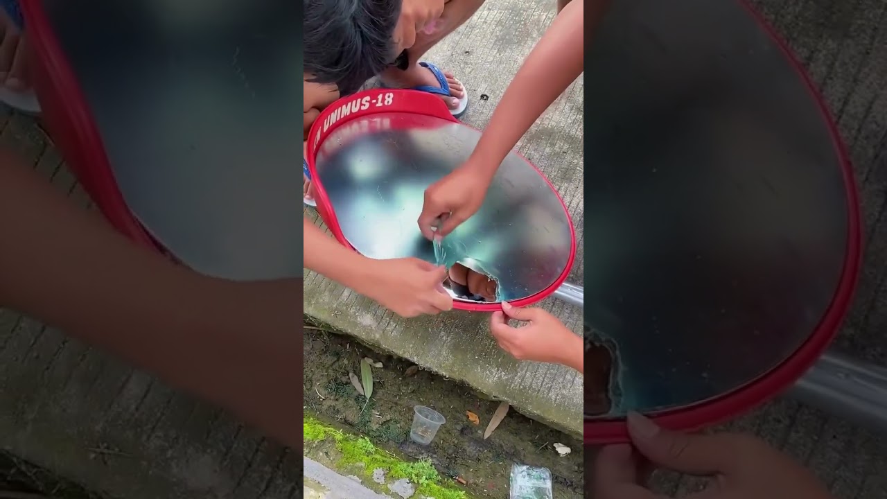 REKAP PROKER KELOMPOK DAN INDIVIDU,KKN UNIVERSITAS MUHAMMADIYAH SEMARANG NGESREP,NGEMPLAK,BOYOLALI