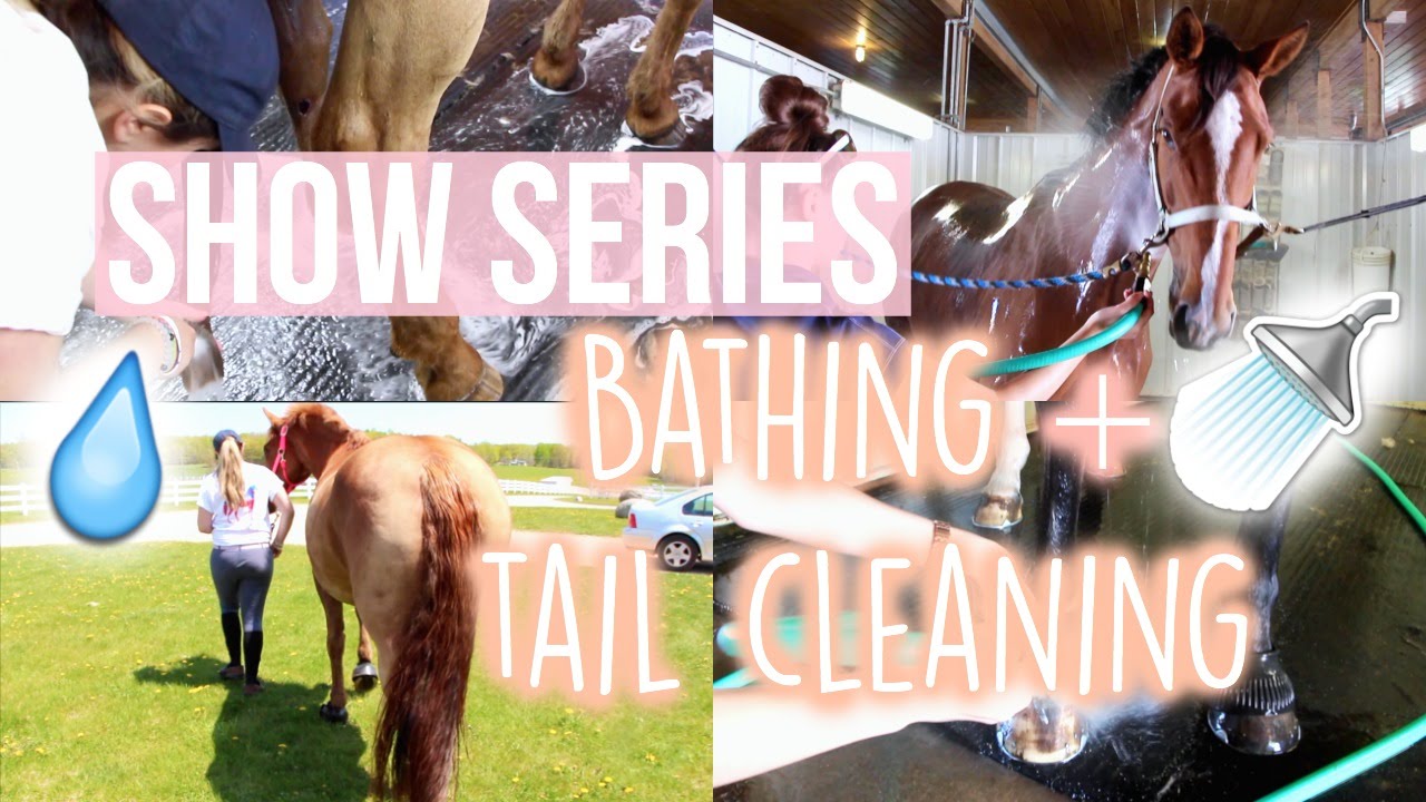 Show Series: Bathing | Equestrian Prep