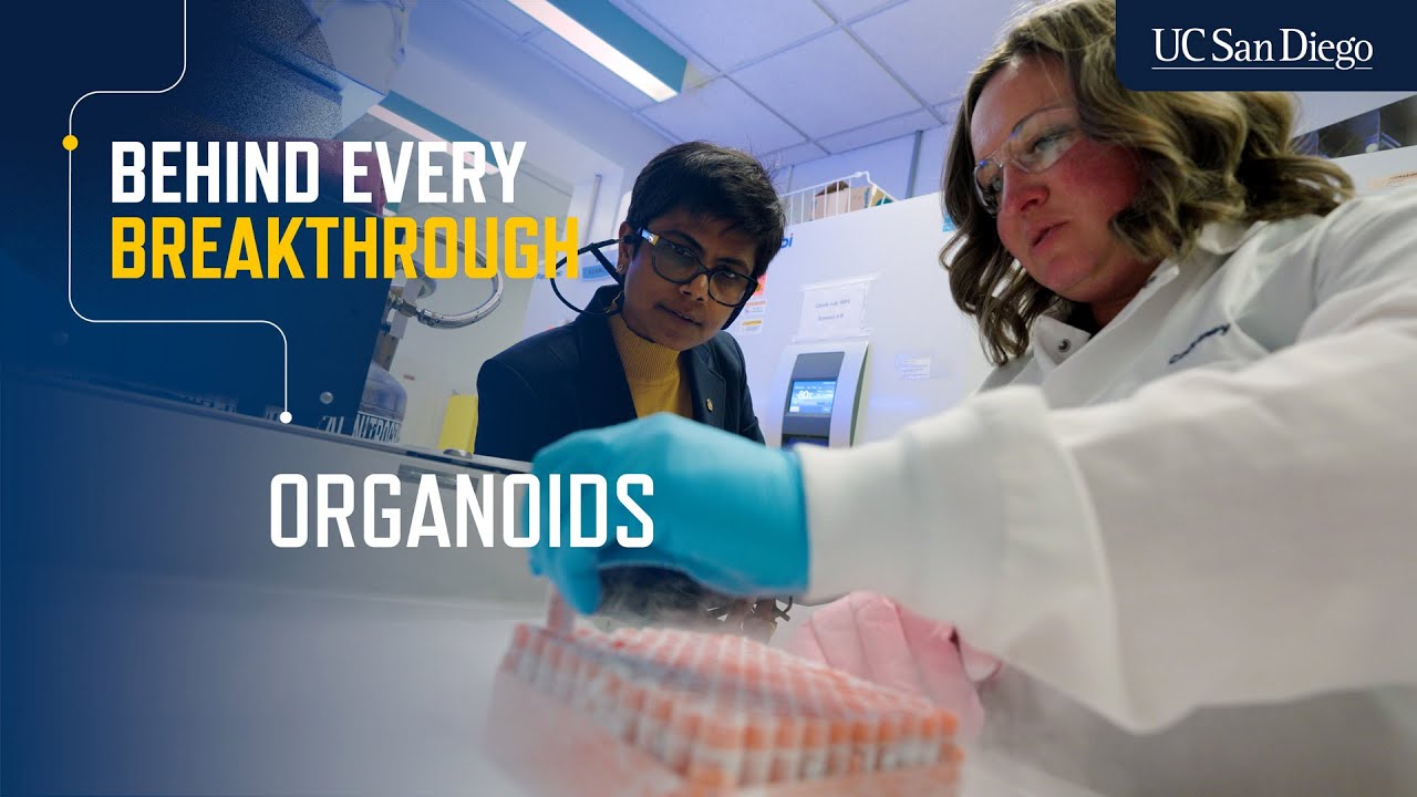 Behind Every Breakthrough: Organoids