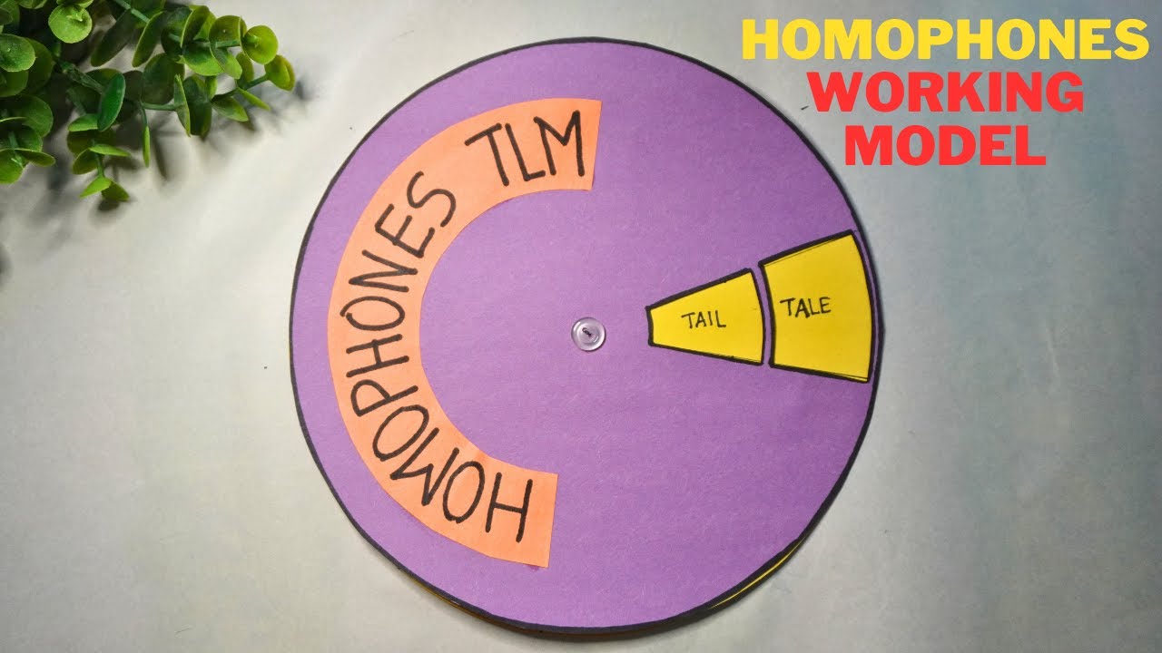 Homophones TLM | English TLM model | English working model project | Exhibition model for school