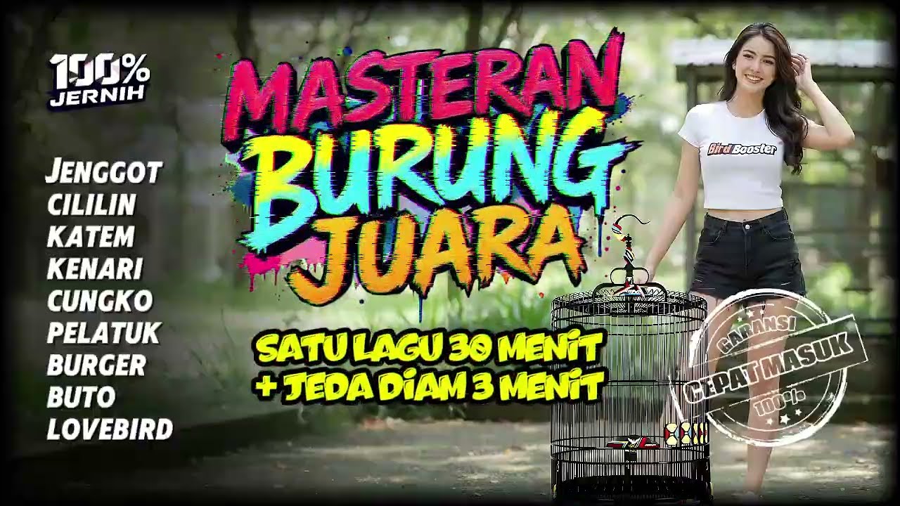 CEPAT MASUK!! Masteran Burung Juara Kombinasi lengkap Satu Jalur Dengan Jeda