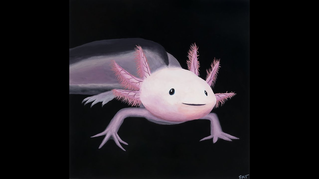 Salamander Painting Tutorial | Axolotl #16 January Art Challenge