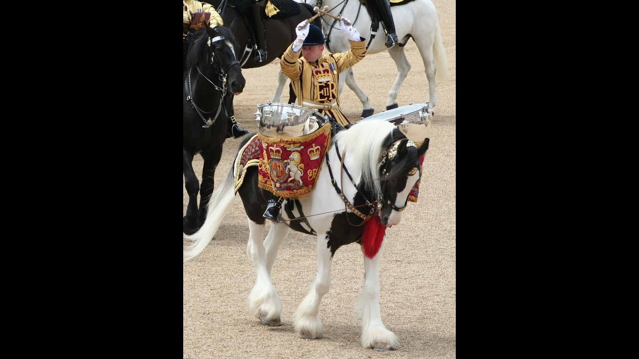RAVENHAWK FARM • THE GYPSY DRUM HORSE