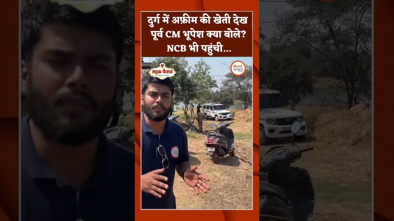 दुर्ग में अफ़ीम की खेती देख पूर्व CM भूपेश क्या बोले? NCB भी पहुंची...   #chhattisgarh #news #cgnews