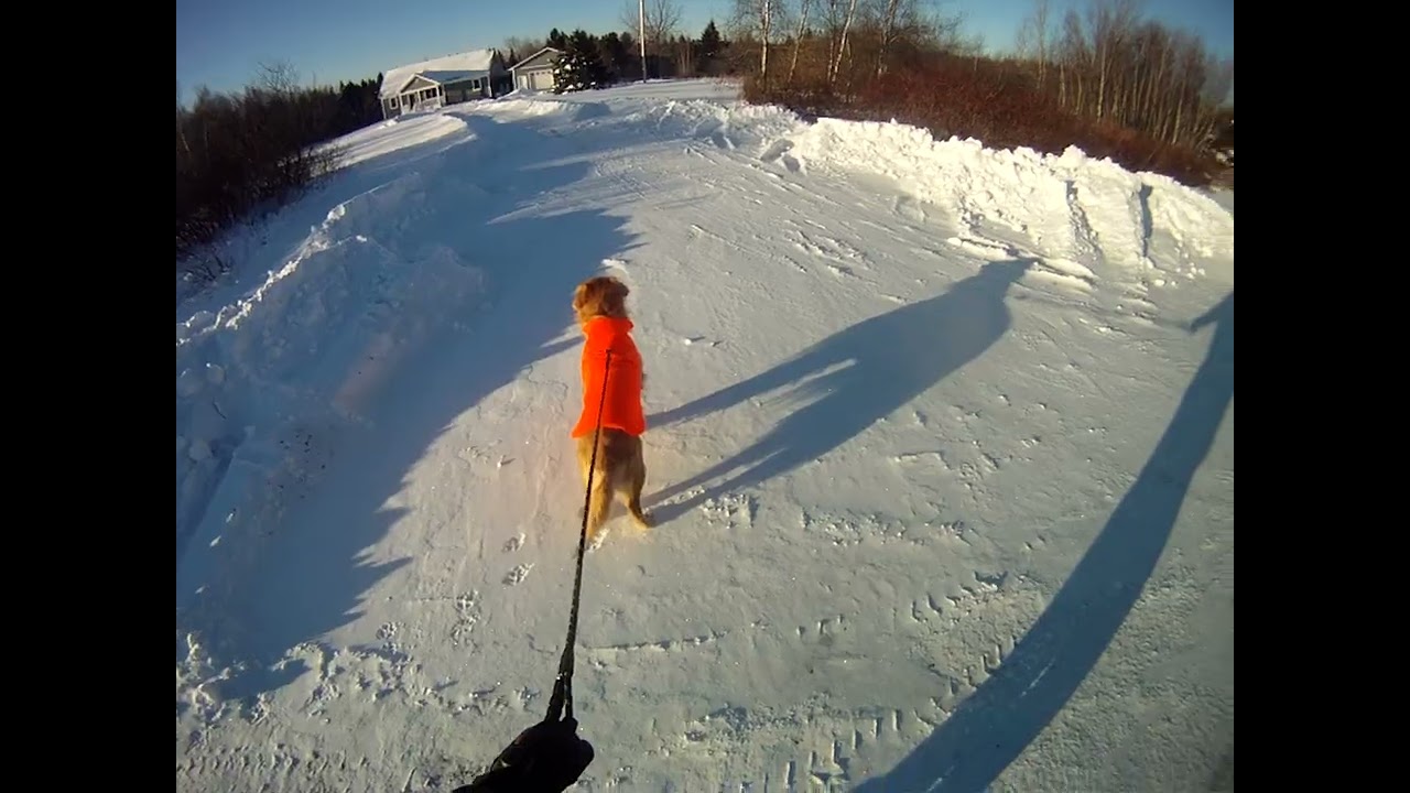 January 31st, -2º